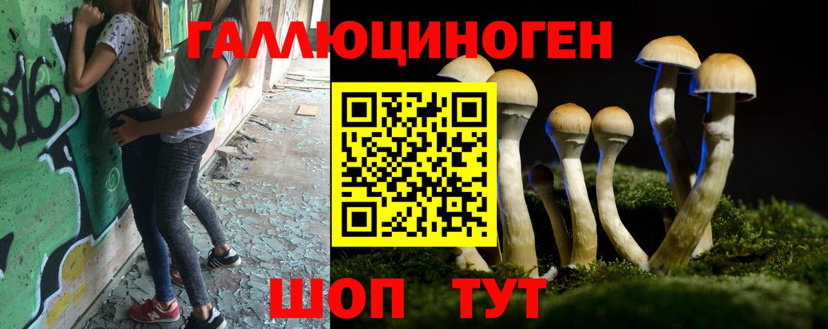 Сочи  как найти закладки  Вход с VPN  Псилоцибиновые грибы мицелий 